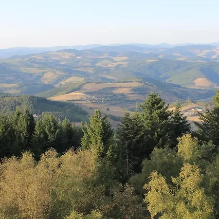 מלון Logis Le Clement Saint-Clement-sur-Valsonne